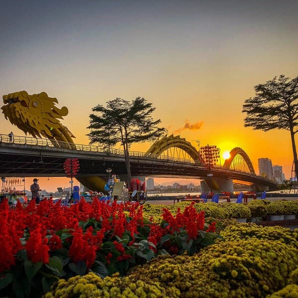 Hoa Bạch Đằng Riverside