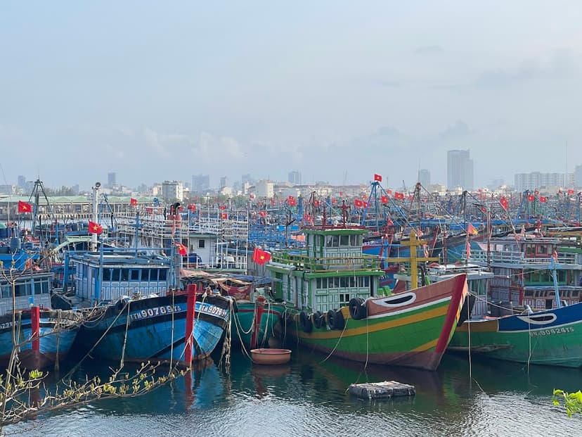 Fishing harbor