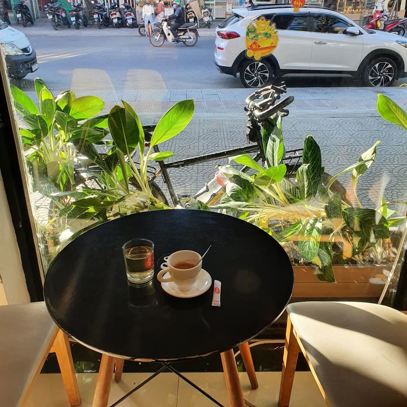 Green & Brown Coffee
