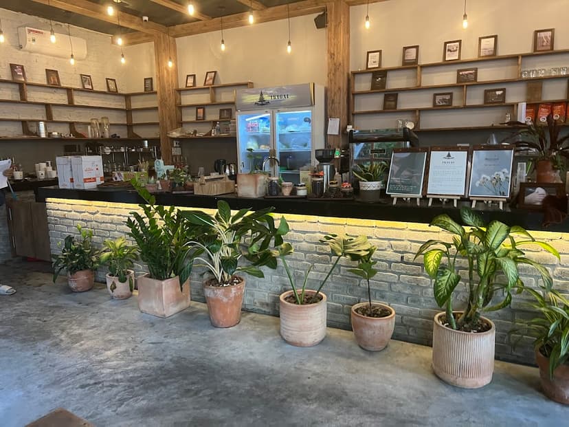 Ikigai Garden